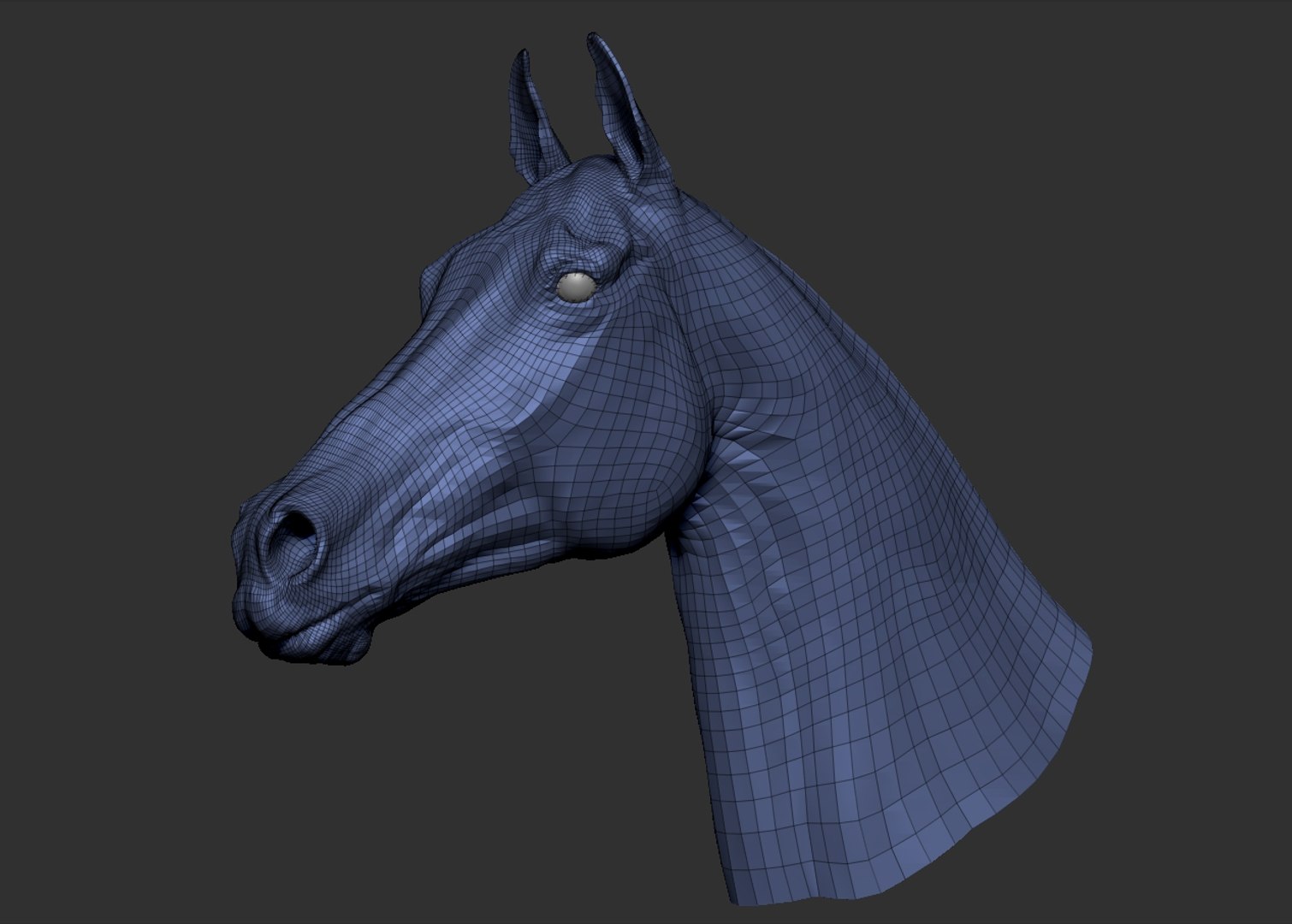 3D horse head realistic https://p.turbosquid.com/ts-thumb/Wt/yTT3XJ/FjGMhFMs/1/jpg/1550507912/1920x1080/fit_q87/0e9ac5138591a732ae230fd520c8668ac52aa9c0/1.jpg