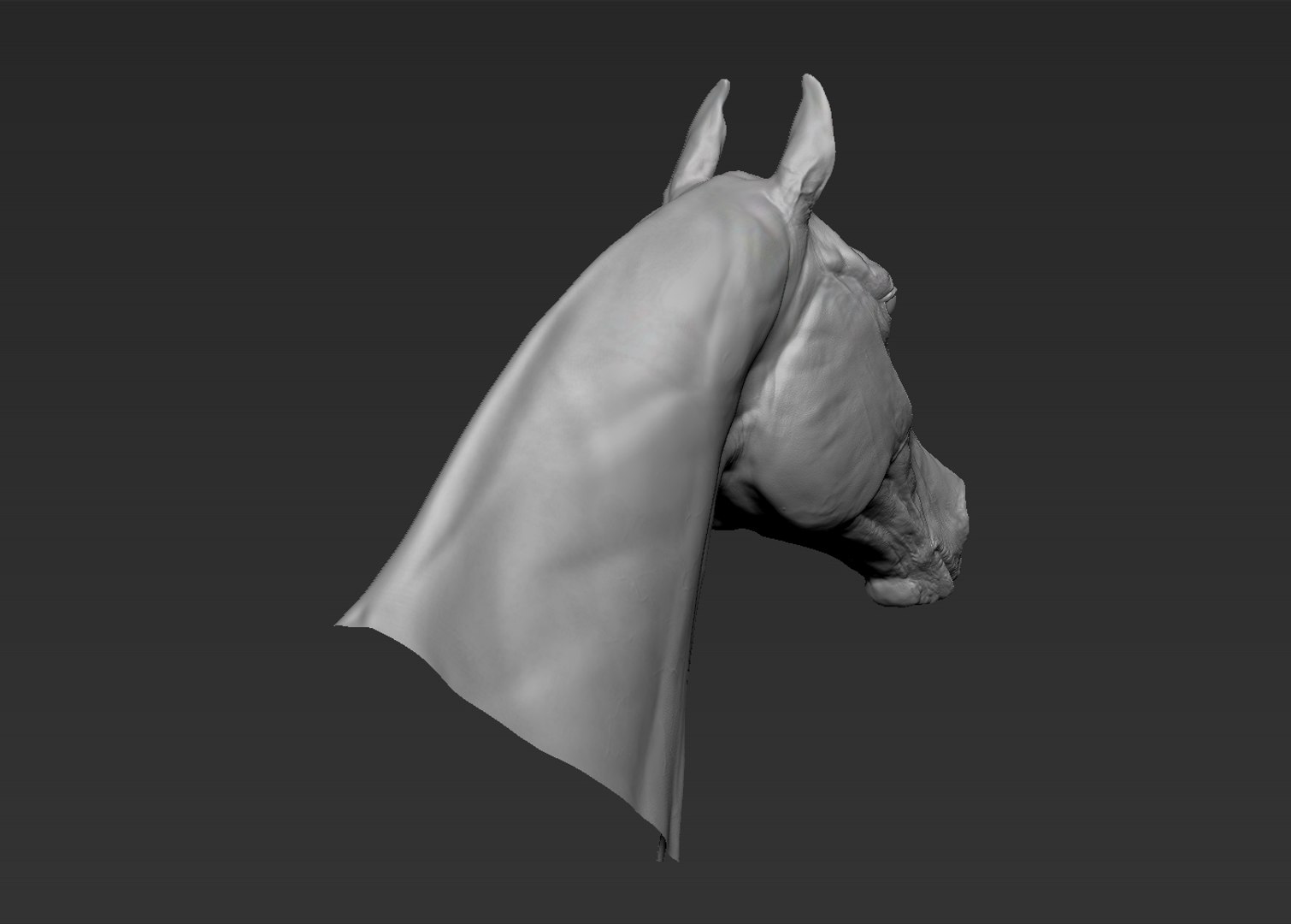 3D horse head realistic https://p.turbosquid.com/ts-thumb/Wt/yTT3XJ/LOtFhkYO/7/jpg/1550507848/1920x1080/fit_q87/21b0593ee2bb815342c60fc2638587781afbeff4/7.jpg