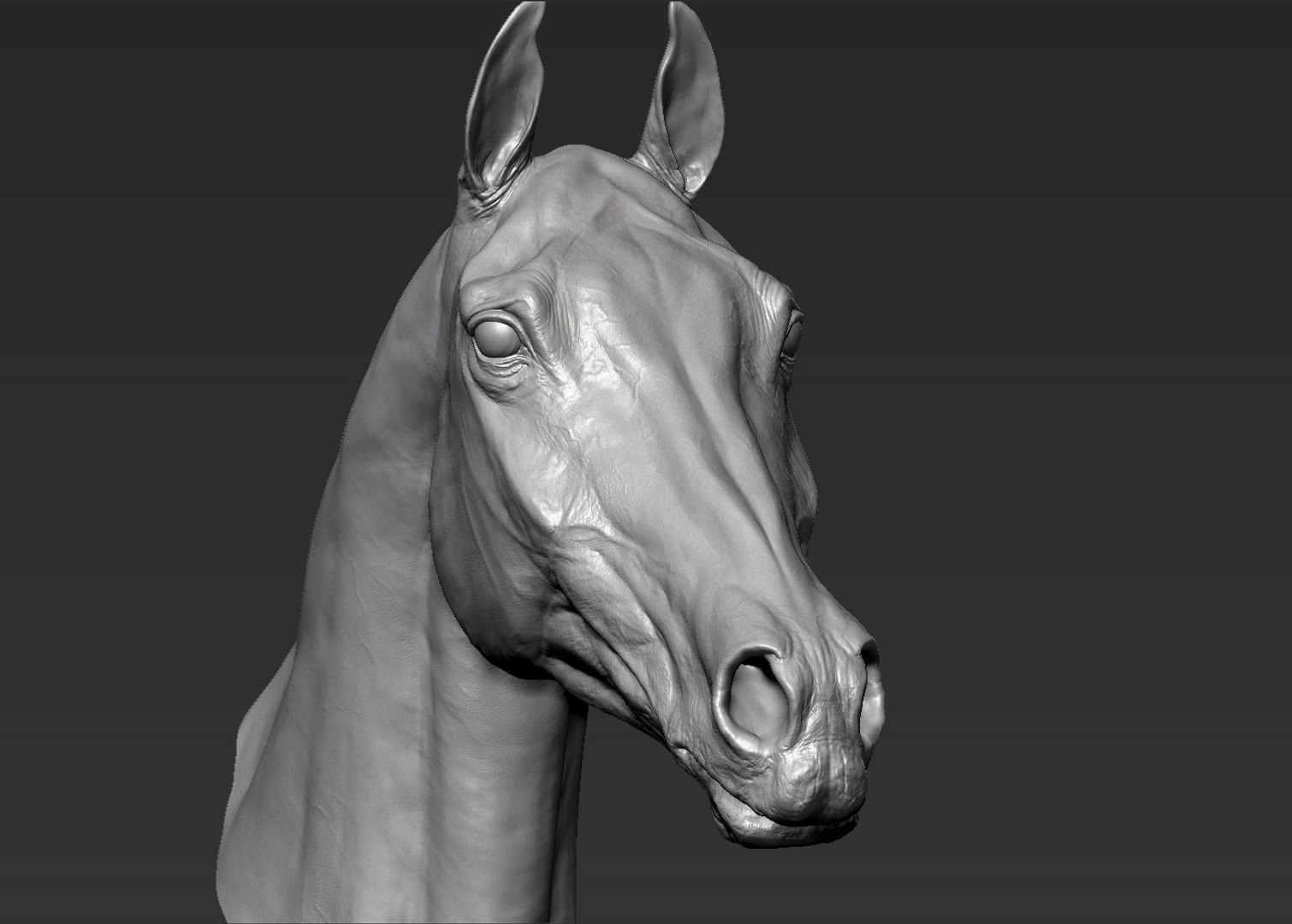 3D horse head realistic https://p.turbosquid.com/ts-thumb/Wt/yTT3XJ/S4u9IvsJ/2/jpg/1550507707/1920x1080/fit_q87/522e025c155d0a82db9c55709e4ee573e736cfce/2.jpg