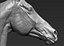 Horse head Realistic(1)