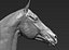 Horse head Realistic(1)