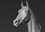Horse head Realistic(1)