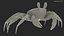 Atlantic Beach Crab Pink Beige Rigged