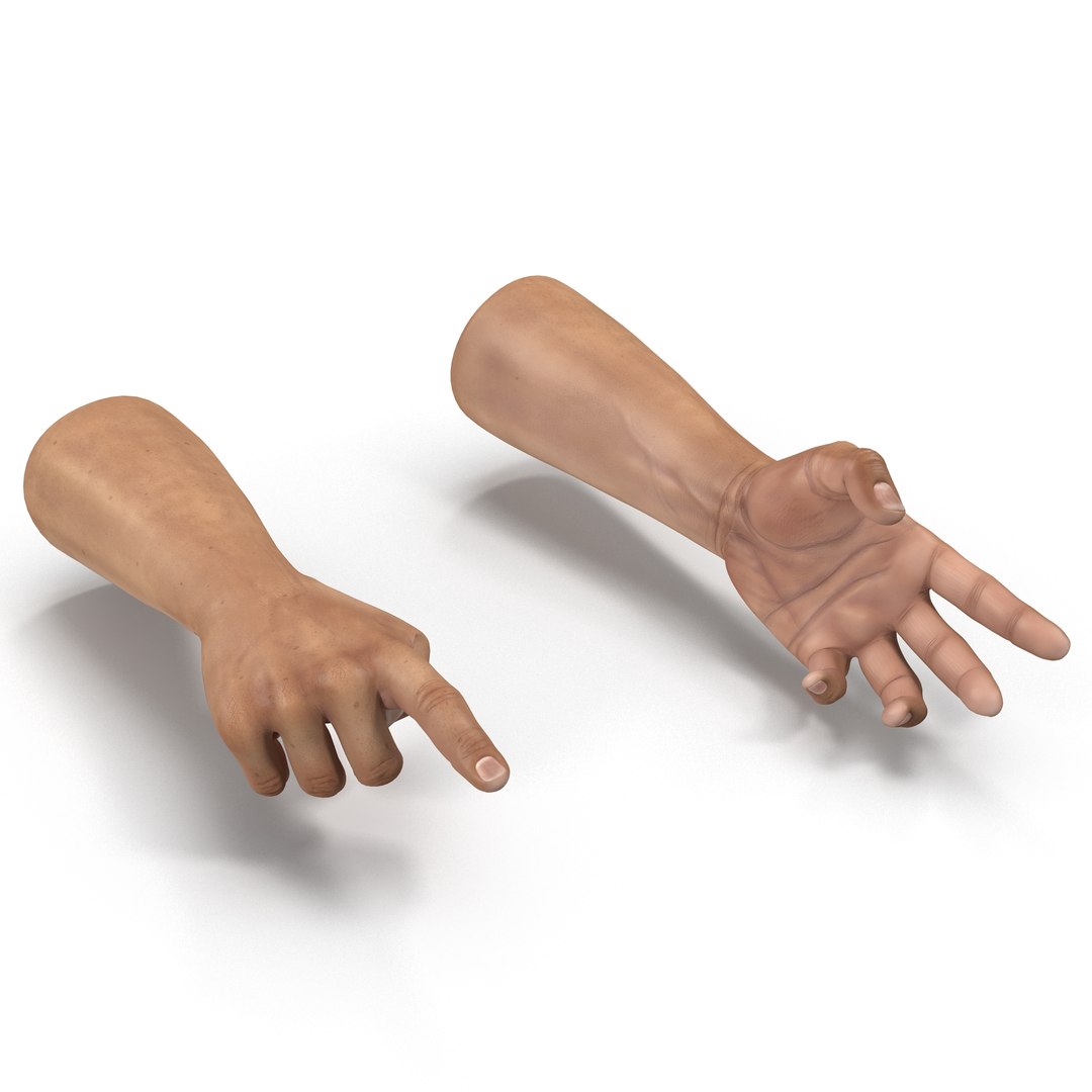 3d Model Man Hands Rigged