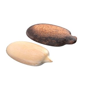3D Watermelon Seed