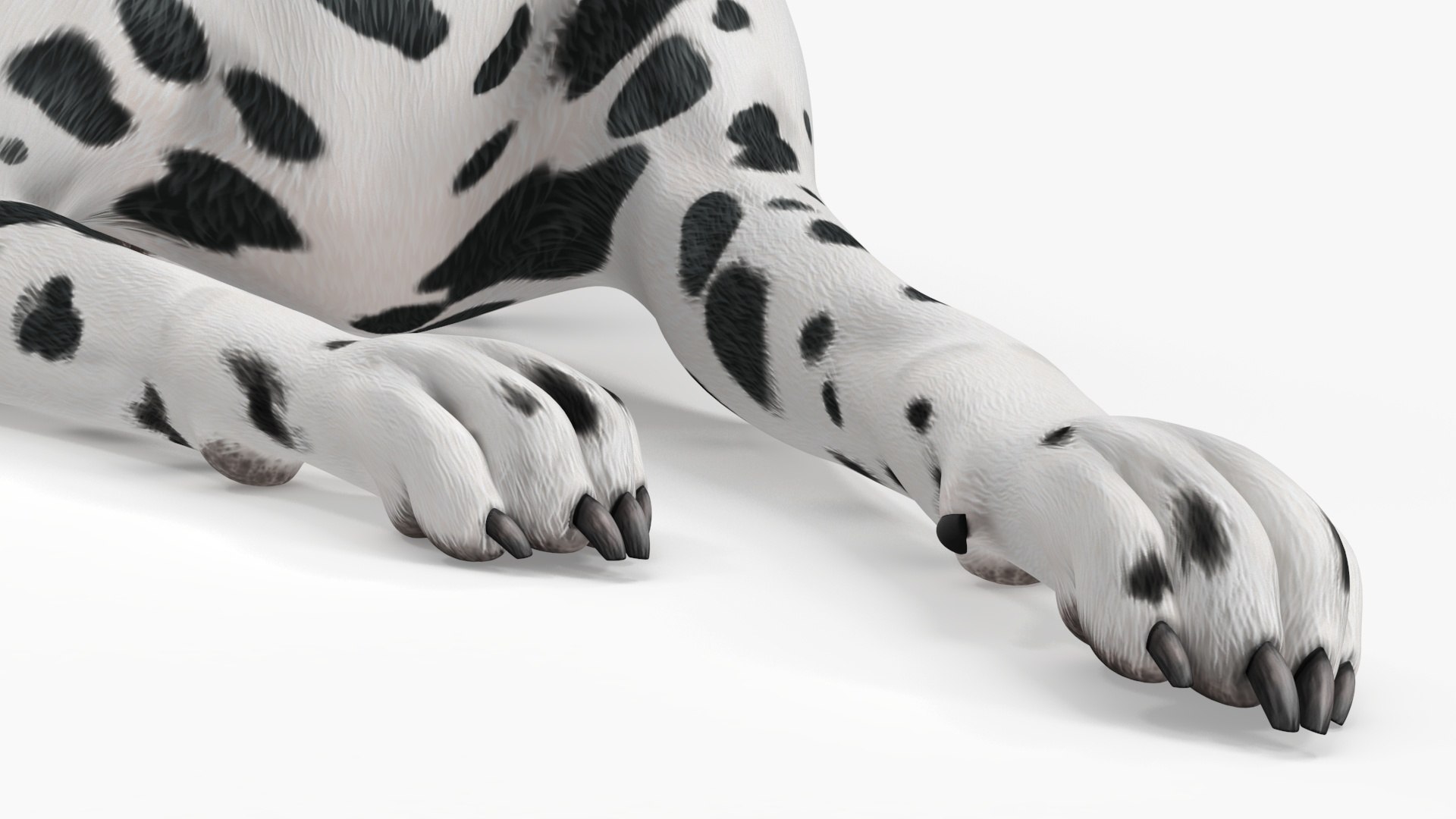 Spotted Lying Dalmatian Dog 3D model https://p.turbosquid.com/ts-thumb/Wu/MhQbs8/0v/spottedlyingdalmatiandog3dmodel021/jpg/1716135825/1920x1080/fit_q87/a5de8bd03e0ca5b4b33dc45852795981c3982341/spottedlyingdalmatiandog3dmodel021.jpg