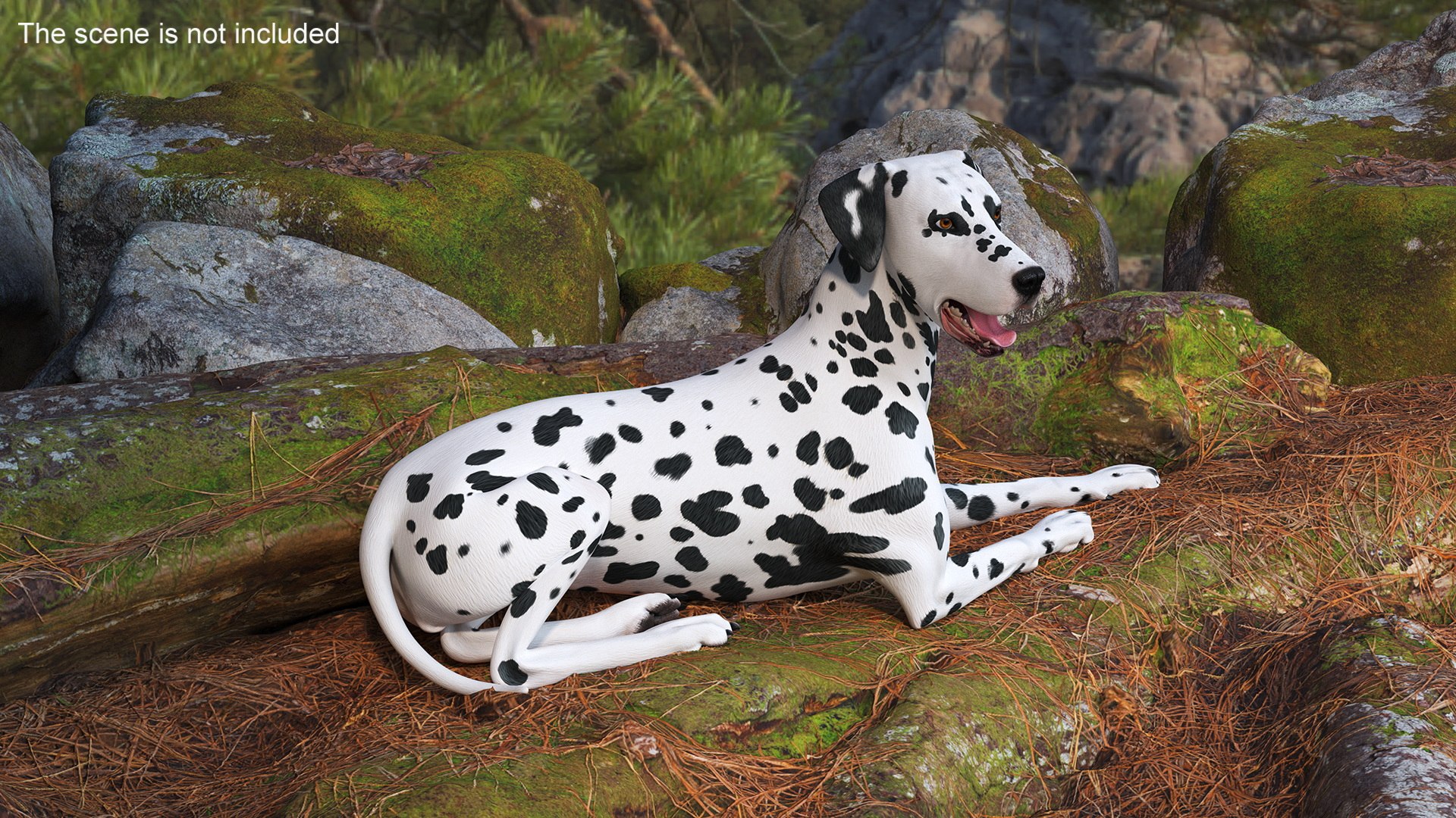 Spotted Lying Dalmatian Dog 3D model https://p.turbosquid.com/ts-thumb/Wu/MhQbs8/9z/spottedlyingdalmatiandog3dmodel004/jpg/1716135772/1920x1080/fit_q87/8d50f1598edb1b39e05c8078b58f25e0c6e46f85/spottedlyingdalmatiandog3dmodel004.jpg