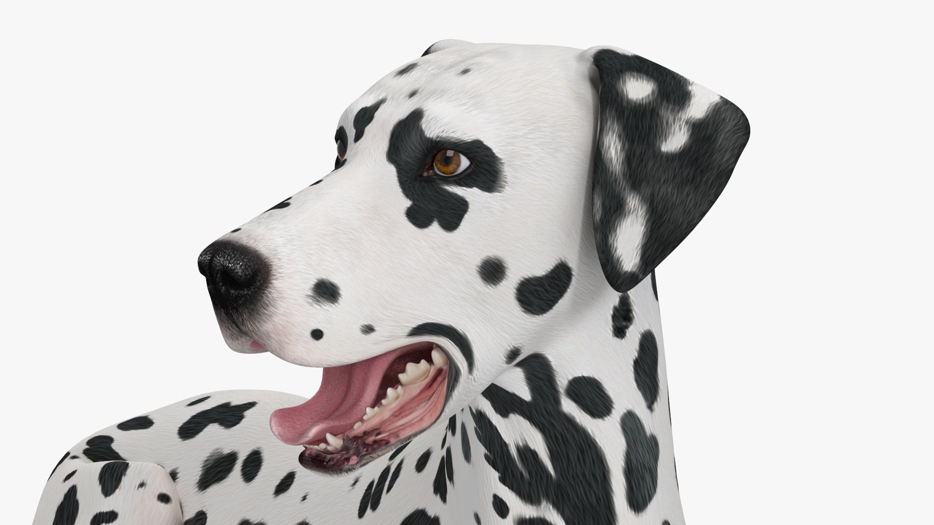 Spotted Lying Dalmatian Dog 3D model https://p.turbosquid.com/ts-thumb/Wu/MhQbs8/Ly/spottedlyingdalmatiandog3dmodel018/jpg/1716135813/1920x1080/fit_q87/1d9ee38511c77e9bb646b2e80802ae6bcd222fa9/spottedlyingdalmatiandog3dmodel018.jpg