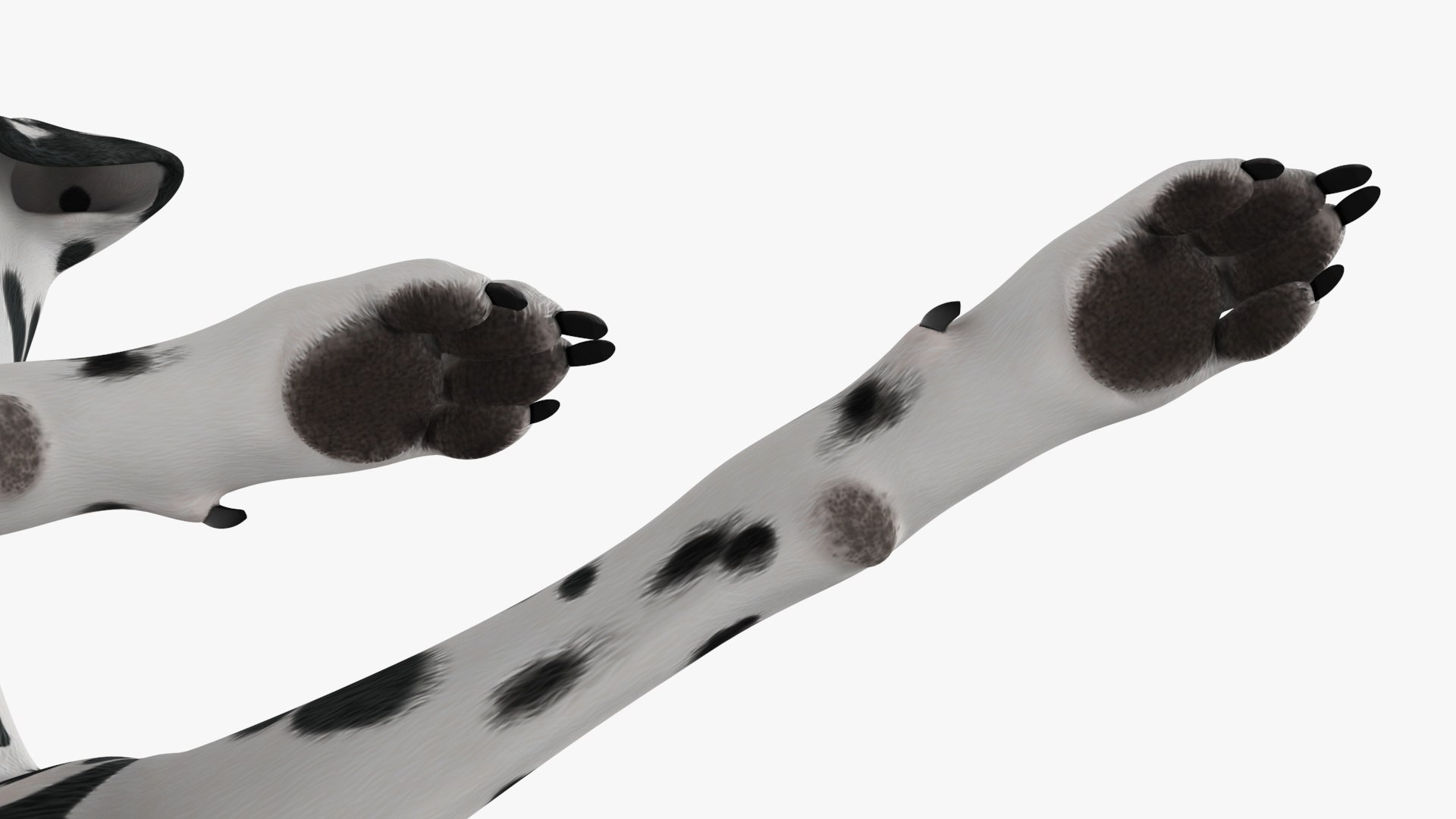 Spotted Lying Dalmatian Dog 3D model https://p.turbosquid.com/ts-thumb/Wu/MhQbs8/mP/spottedlyingdalmatiandog3dmodel022/jpg/1716135829/1920x1080/fit_q87/f3b42fcc72b09ca9e9238403abc73a727f280fbe/spottedlyingdalmatiandog3dmodel022.jpg
