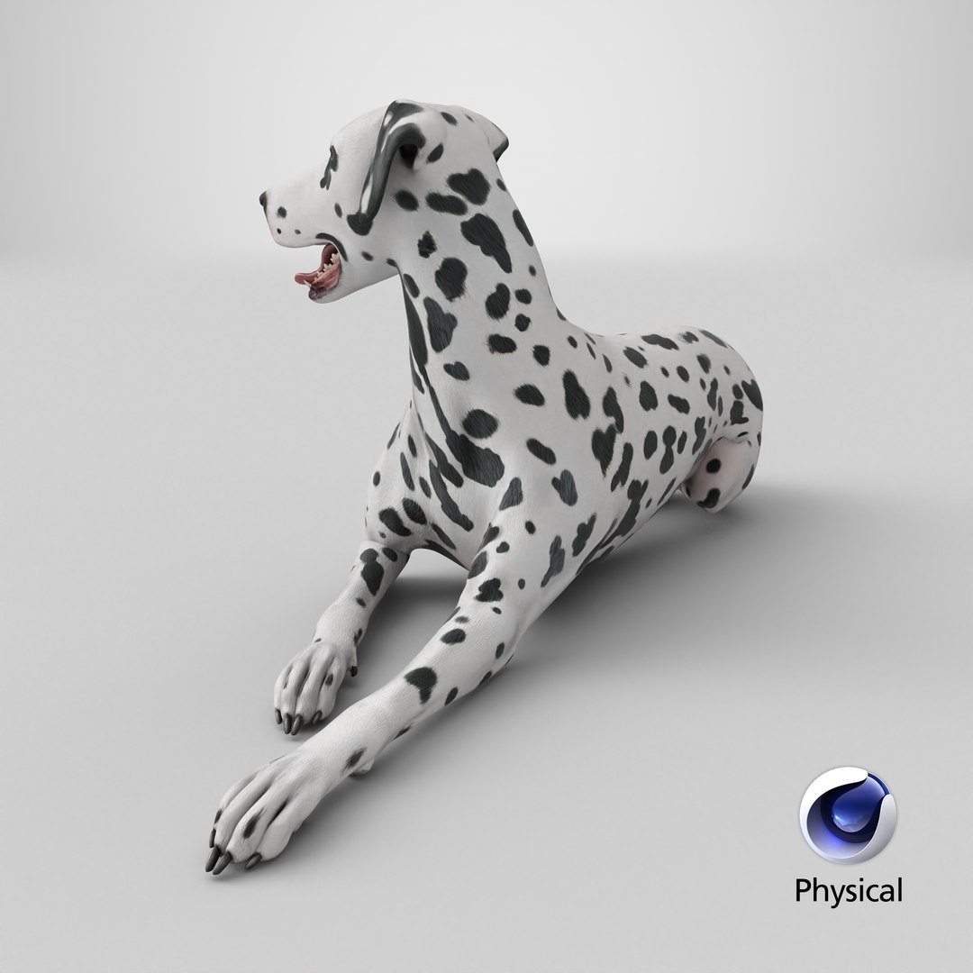 Spotted Lying Dalmatian Dog 3D model https://p.turbosquid.com/ts-thumb/Wu/MhQbs8/tS/stemcell_cinema_4d_physical_render/png/1718271492/1920x1080/fit_q87/7ba0da4e8ec11c5bd9ddcf3d5683e16eed1ee9d0/stemcell_cinema_4d_physical_render.jpg
