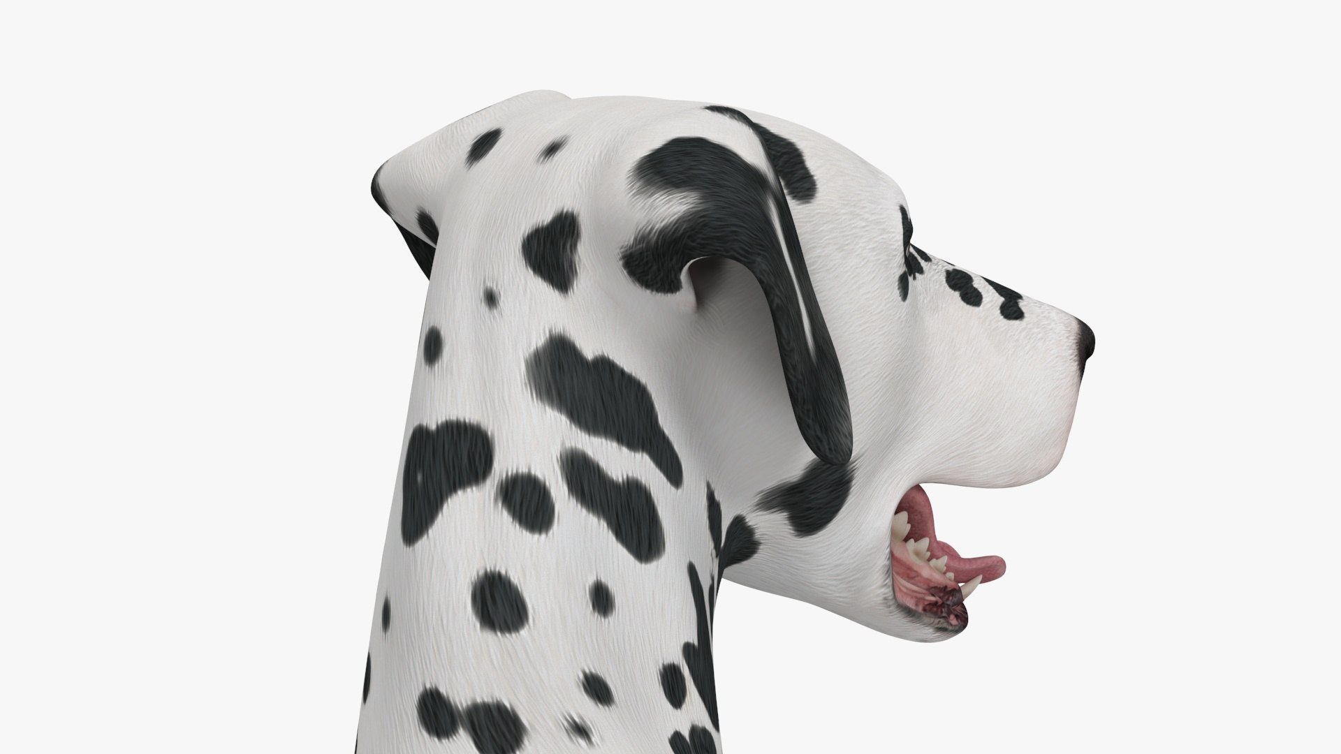 Spotted Lying Dalmatian Dog 3D model https://p.turbosquid.com/ts-thumb/Wu/MhQbs8/y5/spottedlyingdalmatiandog3dmodel019/jpg/1716135817/1920x1080/fit_q87/721dc74121bf1119db8b93befe06c12995fbfaac/spottedlyingdalmatiandog3dmodel019.jpg