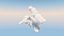 Cloud Bunny