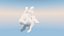 Cloud Bunny