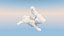 Cloud Bunny