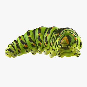 3d caterpillar pose 4