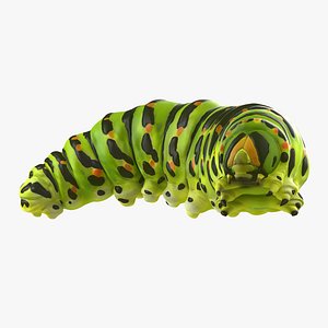 Caterpillar Pose 4