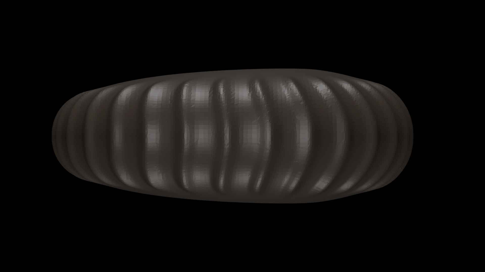 Ammonoid shell with ventral ribs and lappets 3D https://p.turbosquid.com/ts-thumb/Wu/bIy0Eo/2E/03/png/1730485793/1920x1080/fit_q87/35d88169c1df478056f794aa29132e75bb87a62c/03.jpg