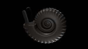 Ammonoid shell with ventral ribs and lappets 3D