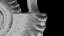 Ammonoid shell with ventral ribs and lappets