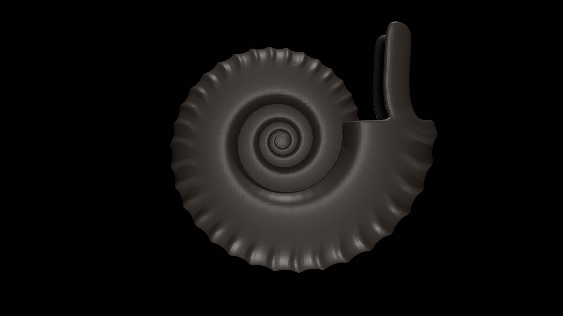 Ammonoid shell with ventral ribs and lappets 3D https://p.turbosquid.com/ts-thumb/Wu/bIy0Eo/fk/01/png/1730485794/1920x1080/fit_q87/0751d794026d68e1e4c83cc3326eabecce57d752/01.jpg