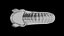 Ammonoid shell with ventral ribs and lappets