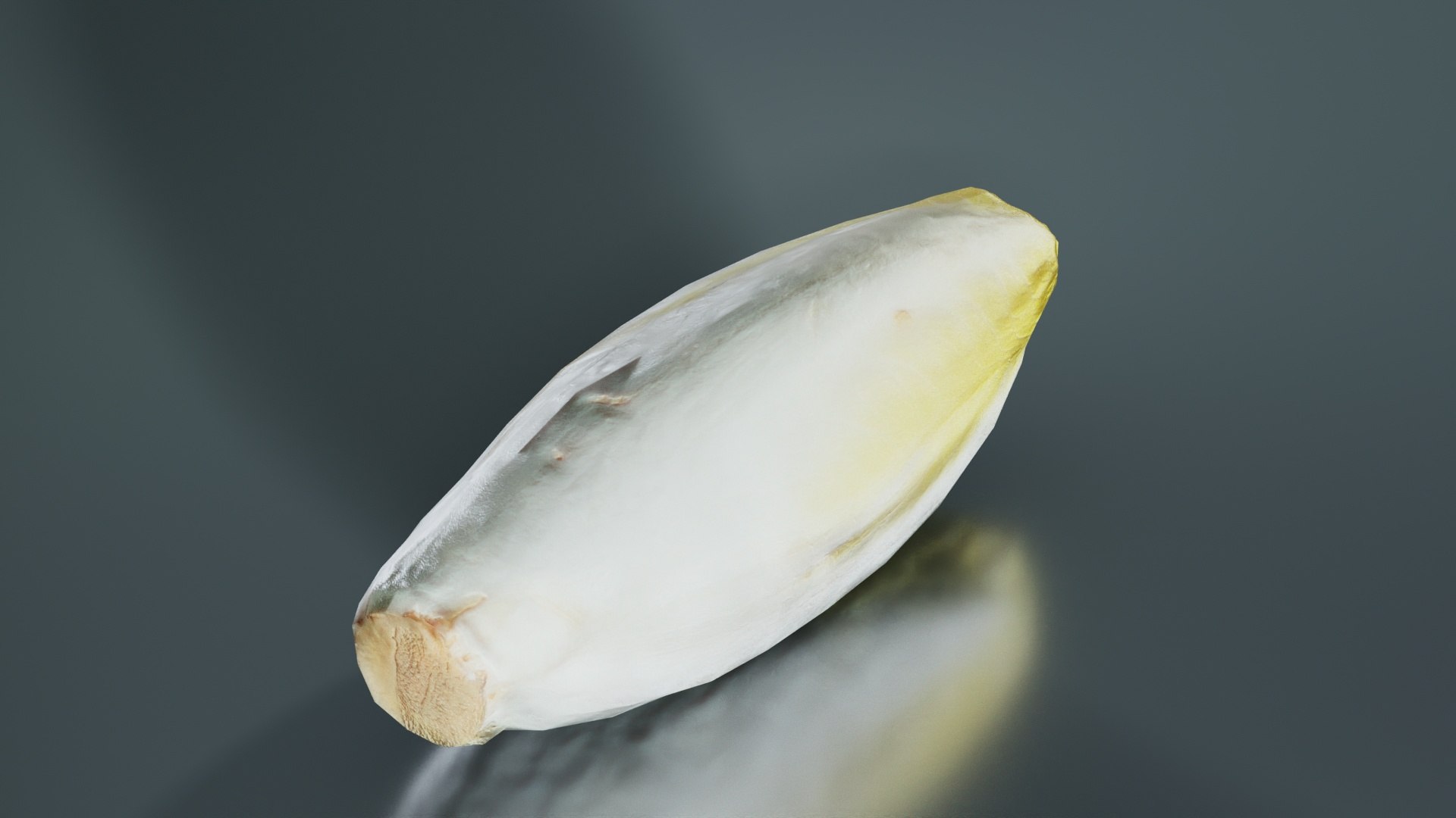 Witlof Remastered 3D model https://p.turbosquid.com/ts-thumb/Wu/dgoVp7/8q/witlof_06/jpg/1740368669/1920x1080/fit_q87/6198e39f8d9e567b0afee05e5819c56cdfea3572/witlof_06.jpg