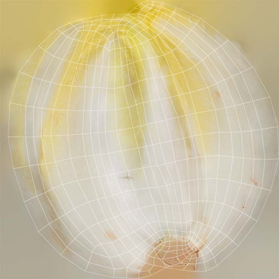 Witlof Remastered 3D model https://p.turbosquid.com/ts-thumb/Wu/dgoVp7/Iy/witlof_uv/jpg/1740368686/1920x1080/fit_q87/eeba8a45366610ebd9b91e473cd1f02014e77979/witlof_uv.jpg