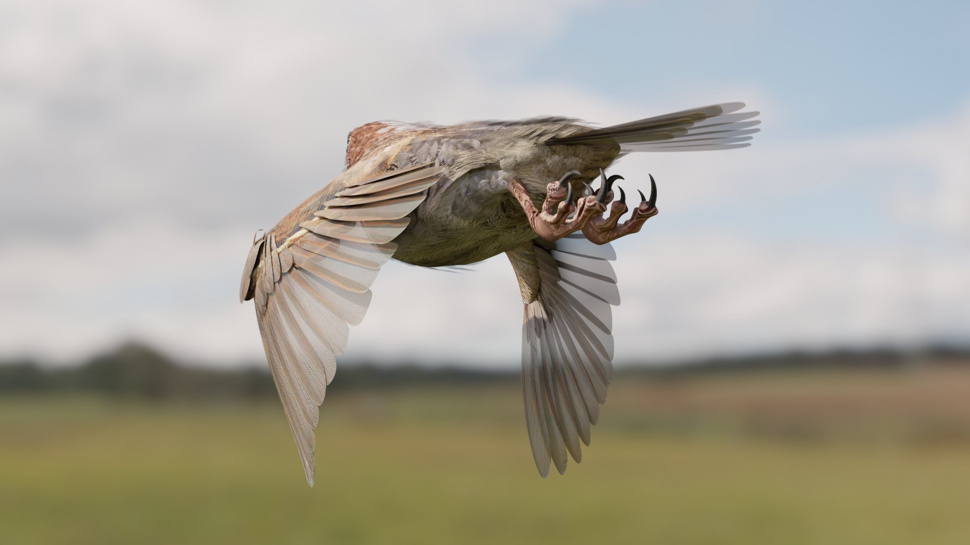 3D House Sparrow - BLENDER https://p.turbosquid.com/ts-thumb/Wu/iAKR9D/4X/hsstill1920x1080_176/png/1775165770/1920x1080/fit_q87/8581f88e2f2d4f57f39ed0e5dd010b11a55bf2bd/hsstill1920x1080_176.jpg