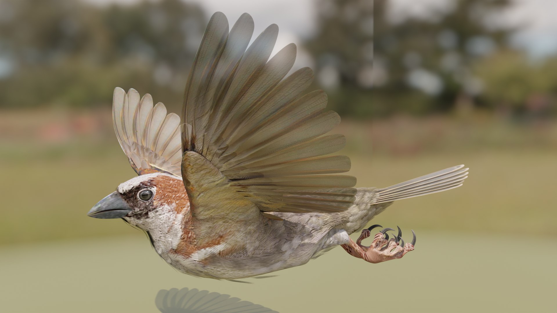 3D House Sparrow - BLENDER https://p.turbosquid.com/ts-thumb/Wu/iAKR9D/6N/hsstill1920x1080_149/png/1775165768/1920x1080/fit_q87/ea639c57ba2c4b524c934c3a53f42ac372b1b454/hsstill1920x1080_149.jpg