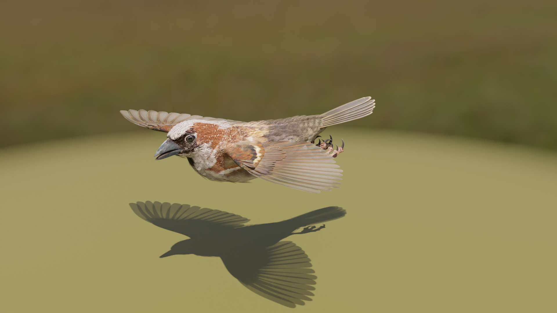 3D House Sparrow - BLENDER https://p.turbosquid.com/ts-thumb/Wu/iAKR9D/Q1/hsflyloop1920x/png/1775166093/1920x1080/turn_fit_q99/55d0460b00b3b0fe0c8c2bf8cab073439b3a9436/hsflyloop1920x-1.jpg