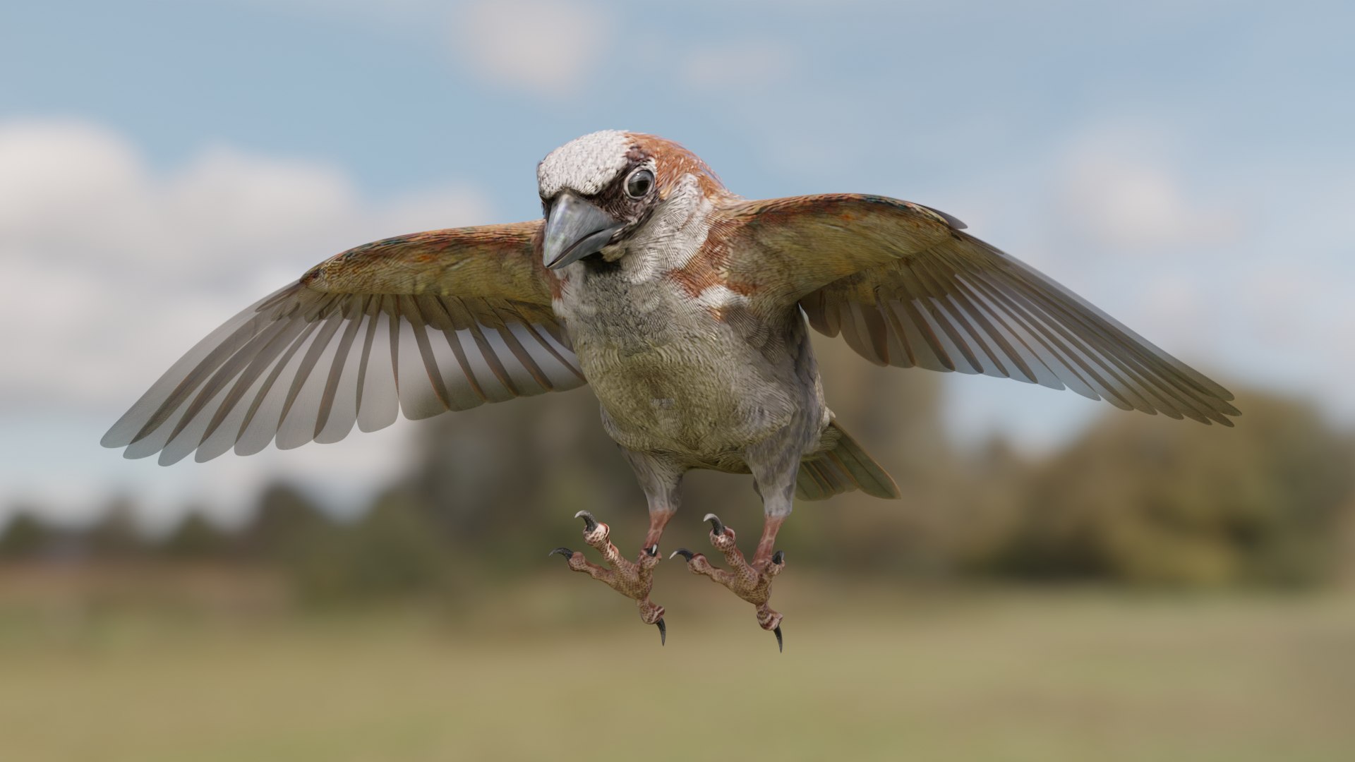 3D House Sparrow - BLENDER https://p.turbosquid.com/ts-thumb/Wu/iAKR9D/RE/hsstill1920x1080_038/png/1775165766/1920x1080/fit_q87/3af7db3c3f517753950ae2f02af2d997c31efcc2/hsstill1920x1080_038.jpg