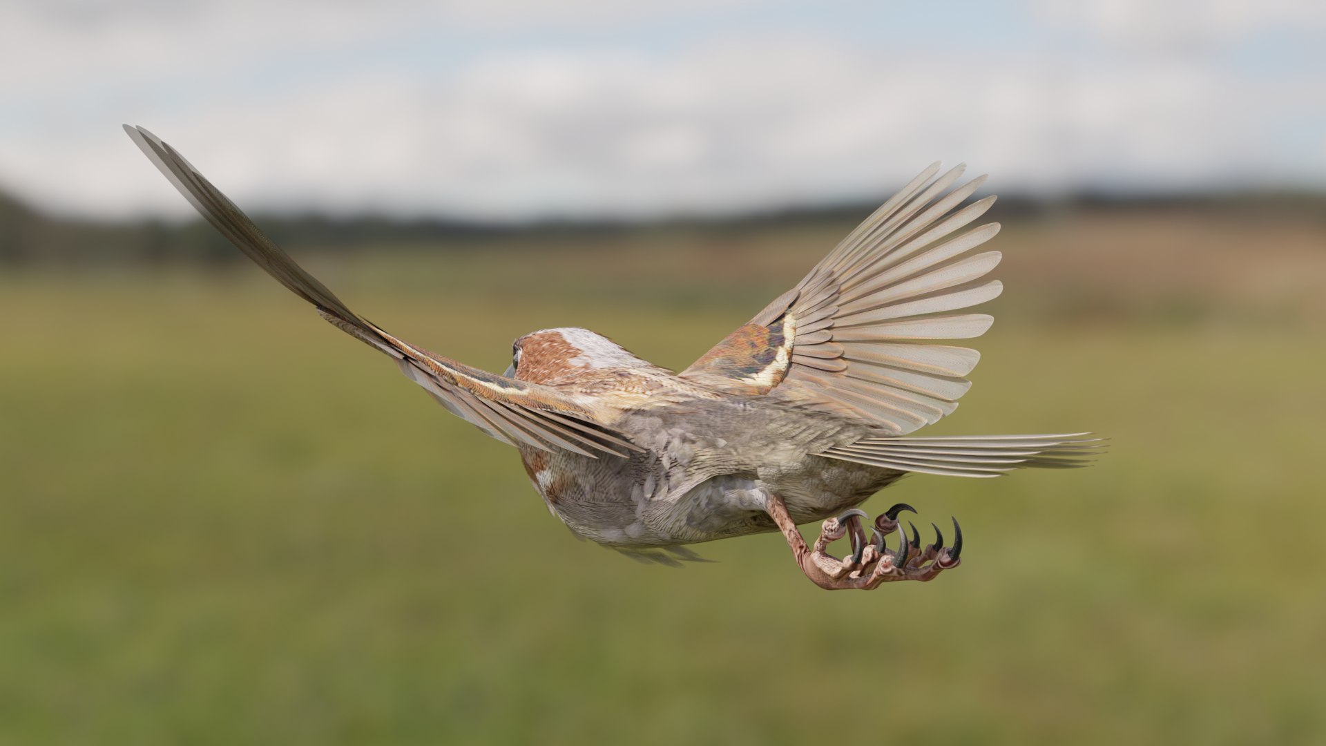 3D House Sparrow - BLENDER https://p.turbosquid.com/ts-thumb/Wu/iAKR9D/f3/hsstill1920x1080_173/png/1775165770/1920x1080/fit_q87/1318be622bb232471c763ed07c644c98888300f8/hsstill1920x1080_173.jpg