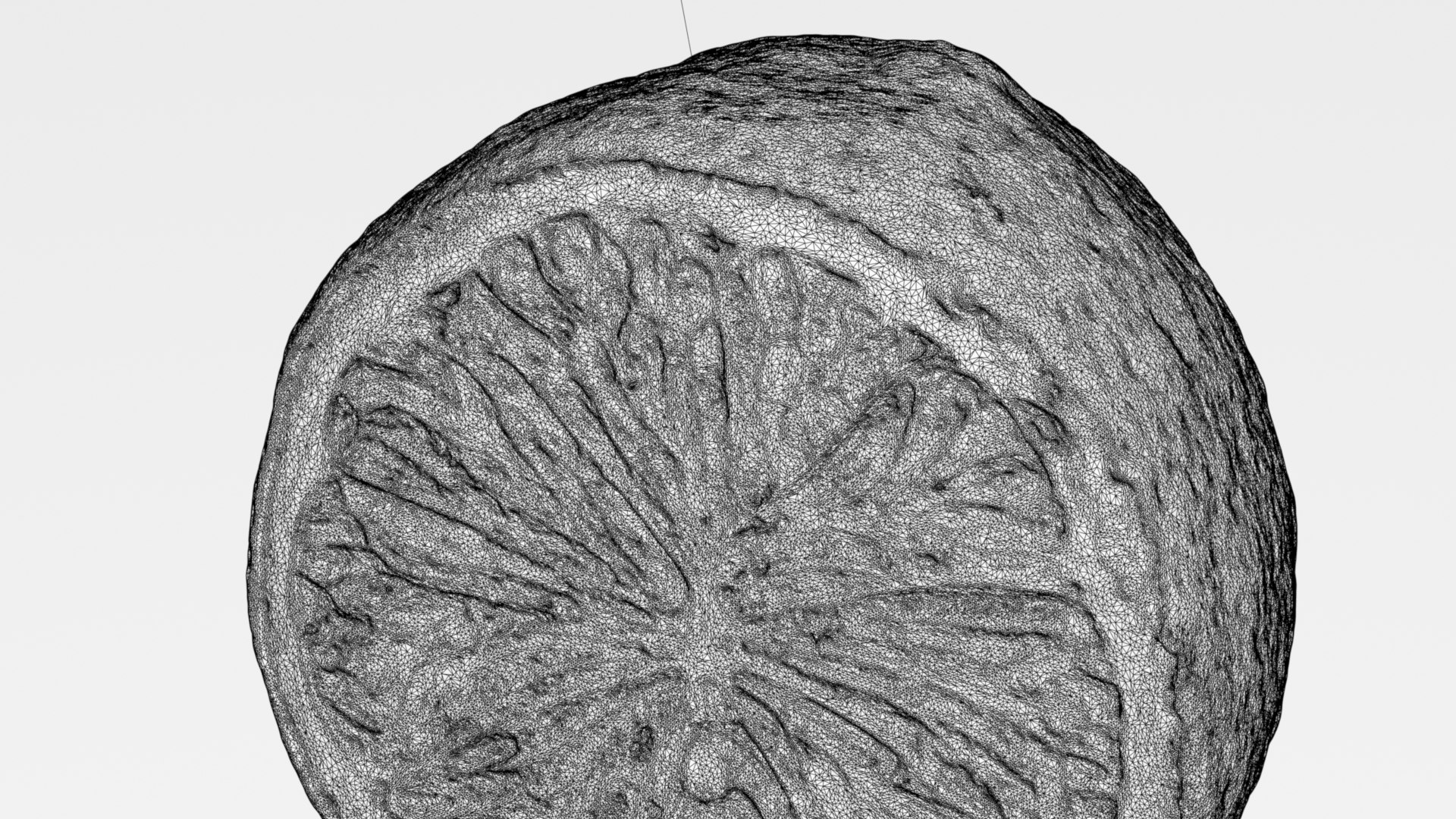 Half Lemon 3d scan model https://p.turbosquid.com/ts-thumb/Wu/mzrKZl/u7/009halflemonw0001/jpg/1744716271/1920x1080/fit_q87/7a97700cb401b61993332197c22da0d971e3c3e3/009halflemonw0001.jpg
