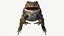 Sapo boreal