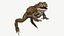 Sapo boreal