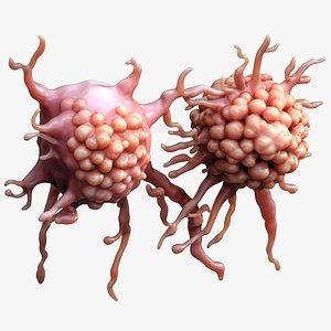 Cancer Cell Tumor 3D model