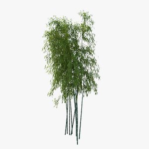 Bamboo model