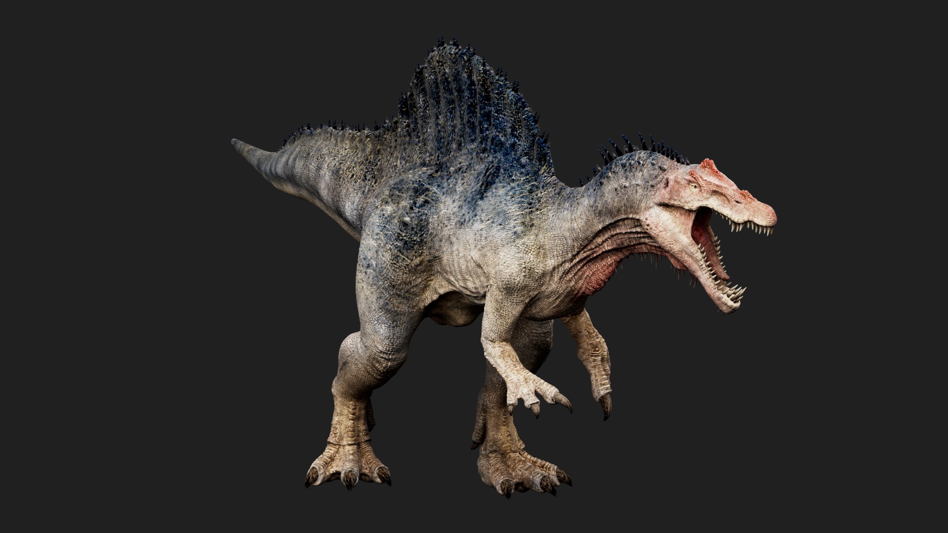 3D Spinosaurus model https://p.turbosquid.com/ts-thumb/Wv/ISLTgE/fd/01/png/1725773210/1920x1080/fit_q87/97abcf26160132ea5879036e1a09732d2a7c0a81/01.jpg