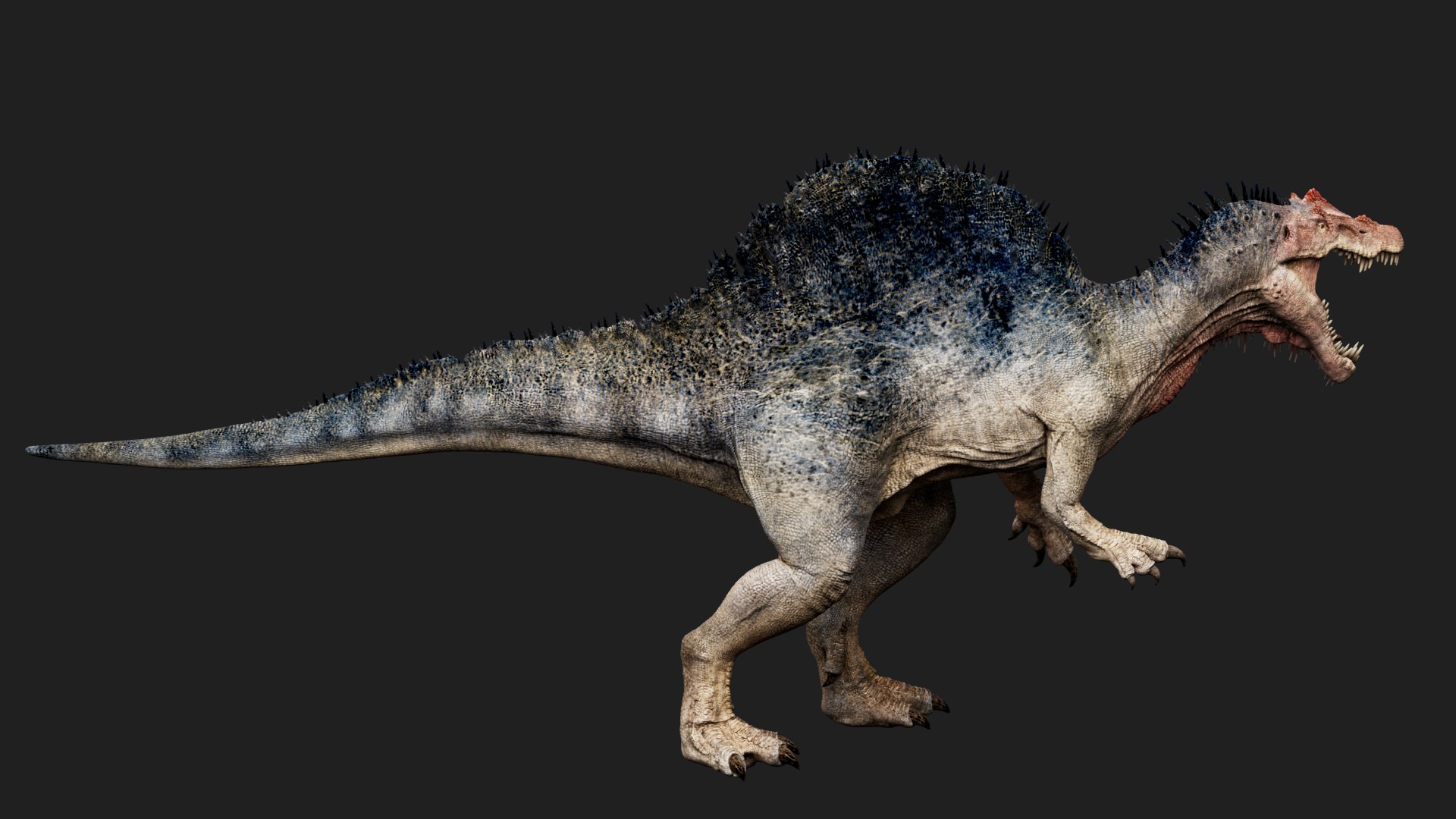 3D Spinosaurus model https://p.turbosquid.com/ts-thumb/Wv/ISLTgE/qe/05/png/1725773222/1920x1080/fit_q87/3816b3e5354e432723f79bc268a0b5219d814971/05.jpg