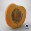 Half Apricot with Pit - 3D Scanned