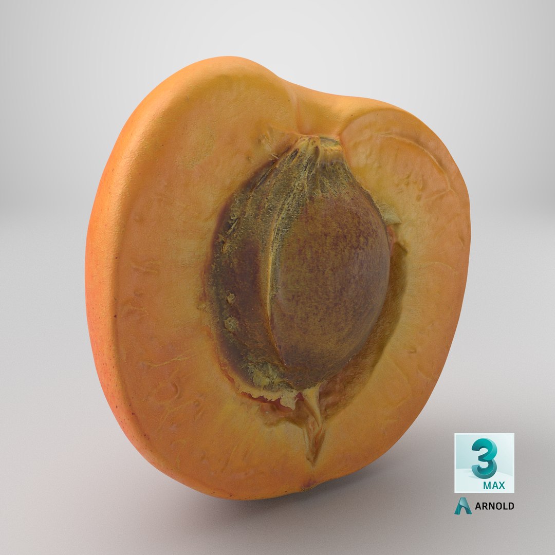 3D Half Apricot with Pit - 3D Scanned model https://p.turbosquid.com/ts-thumb/Wv/MupEw0/1m/stemcell_max_arnold_render/png/1784734678/1920x1080/fit_q87/f7462eb97a837bead72b7a0782a279dca3f6717b/stemcell_max_arnold_render.jpg