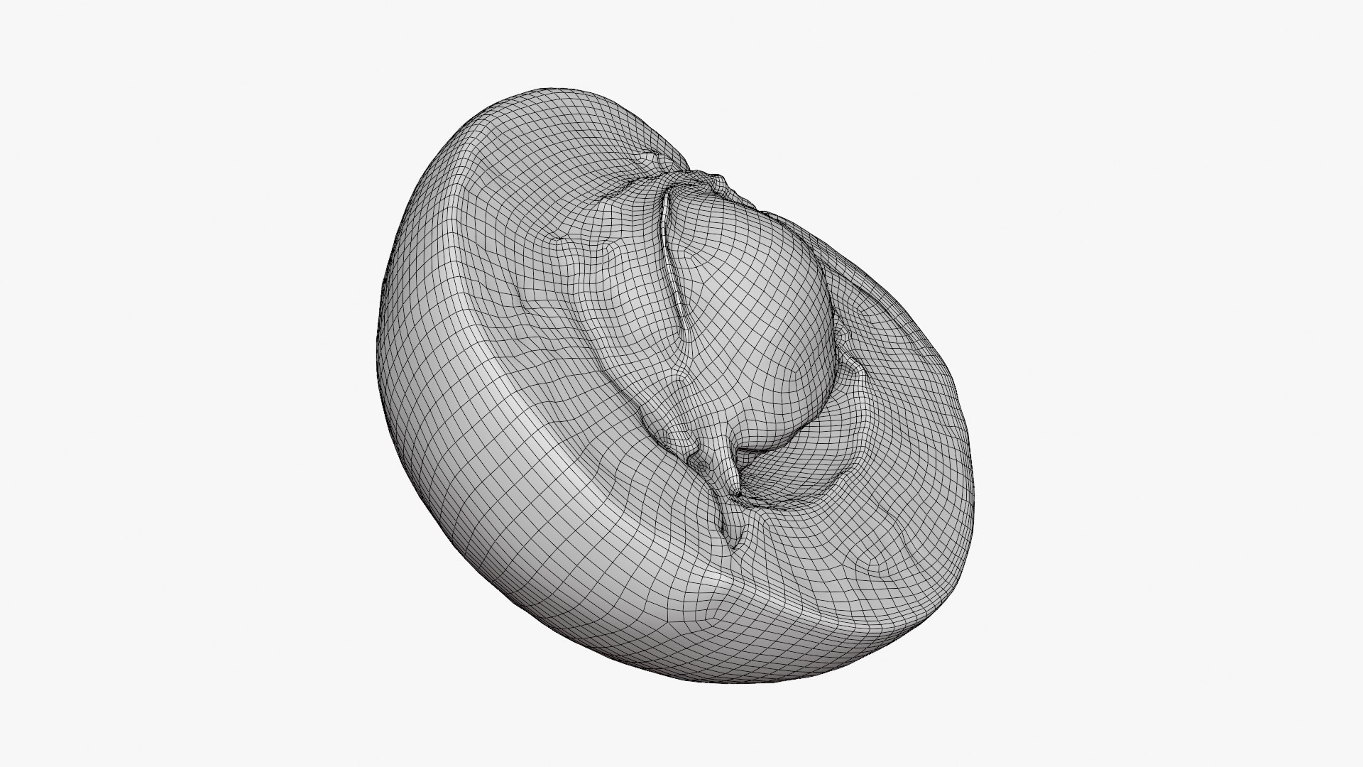 3D Half Apricot with Pit - 3D Scanned model https://p.turbosquid.com/ts-thumb/Wv/MupEw0/Hq/apricotcut02_d0009/png/1783943494/1920x1080/fit_q87/98d3074bbd08816776d8487abb9accd14bcbf093/apricotcut02_d0009.jpg