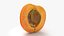 Half Apricot with Pit - 3D Scanned