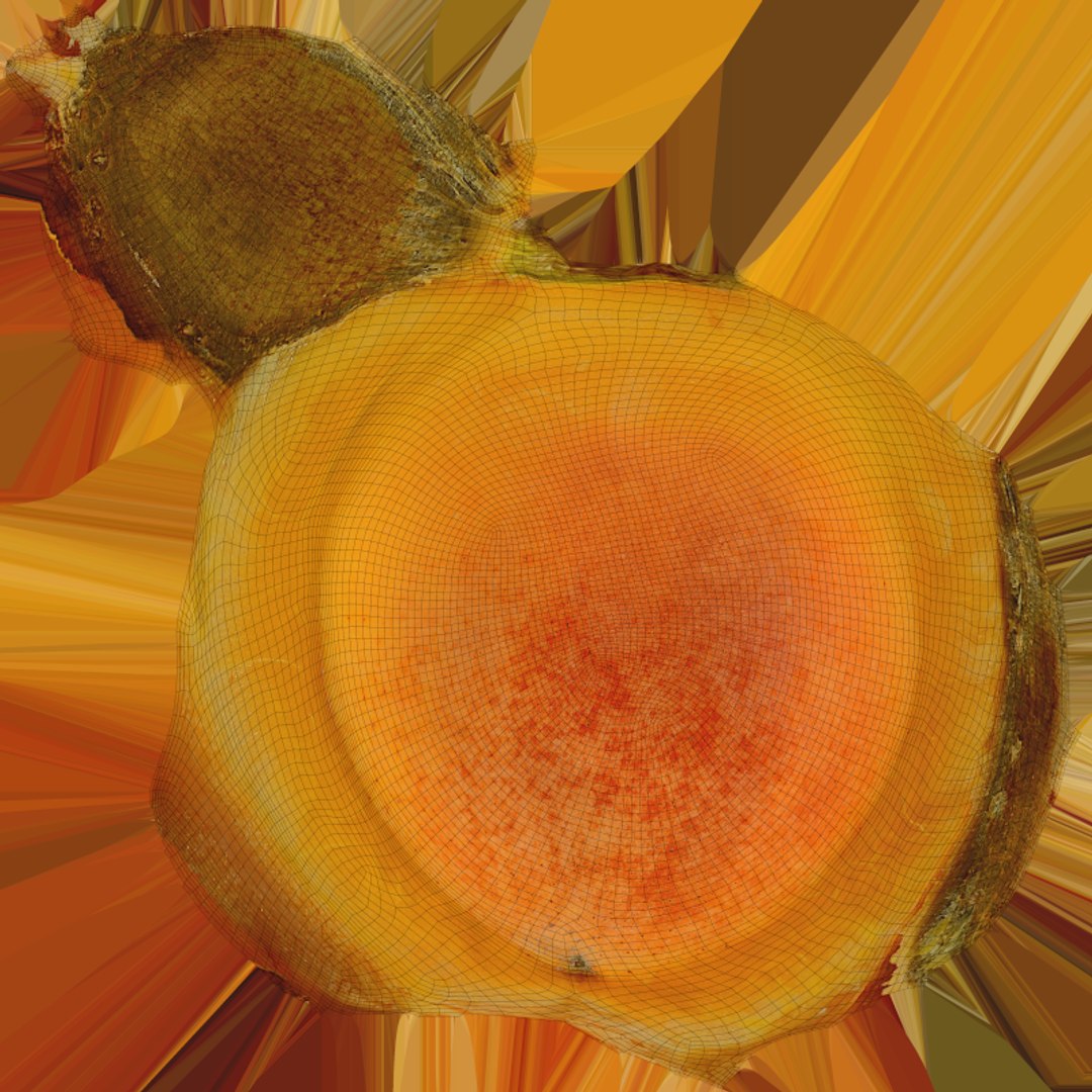 3D Half Apricot with Pit - 3D Scanned model https://p.turbosquid.com/ts-thumb/Wv/MupEw0/MM/apricotcut02_e0004/png/1783943493/1920x1080/fit_q87/1f67a37c5fb81b8558734937744d8fa96abc0fa1/apricotcut02_e0004.jpg