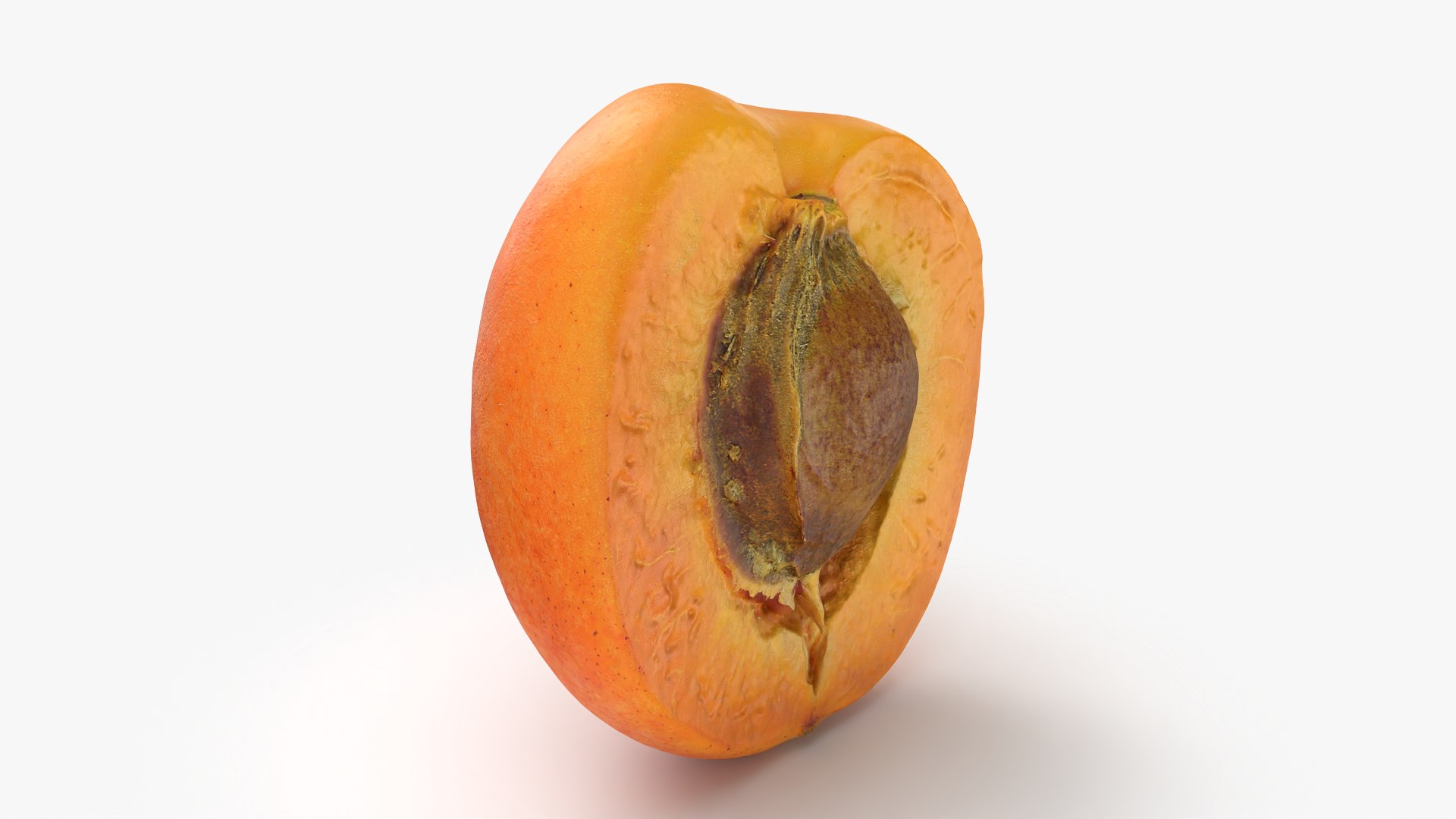 3D Half Apricot with Pit - 3D Scanned model https://p.turbosquid.com/ts-thumb/Wv/MupEw0/SA/apricotcut02_0004/png/1783943487/1920x1080/fit_q87/1183a844b3cb467cb7e6060920a51566bddcd057/apricotcut02_0004.jpg