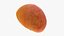 Half Apricot with Pit - 3D Scanned