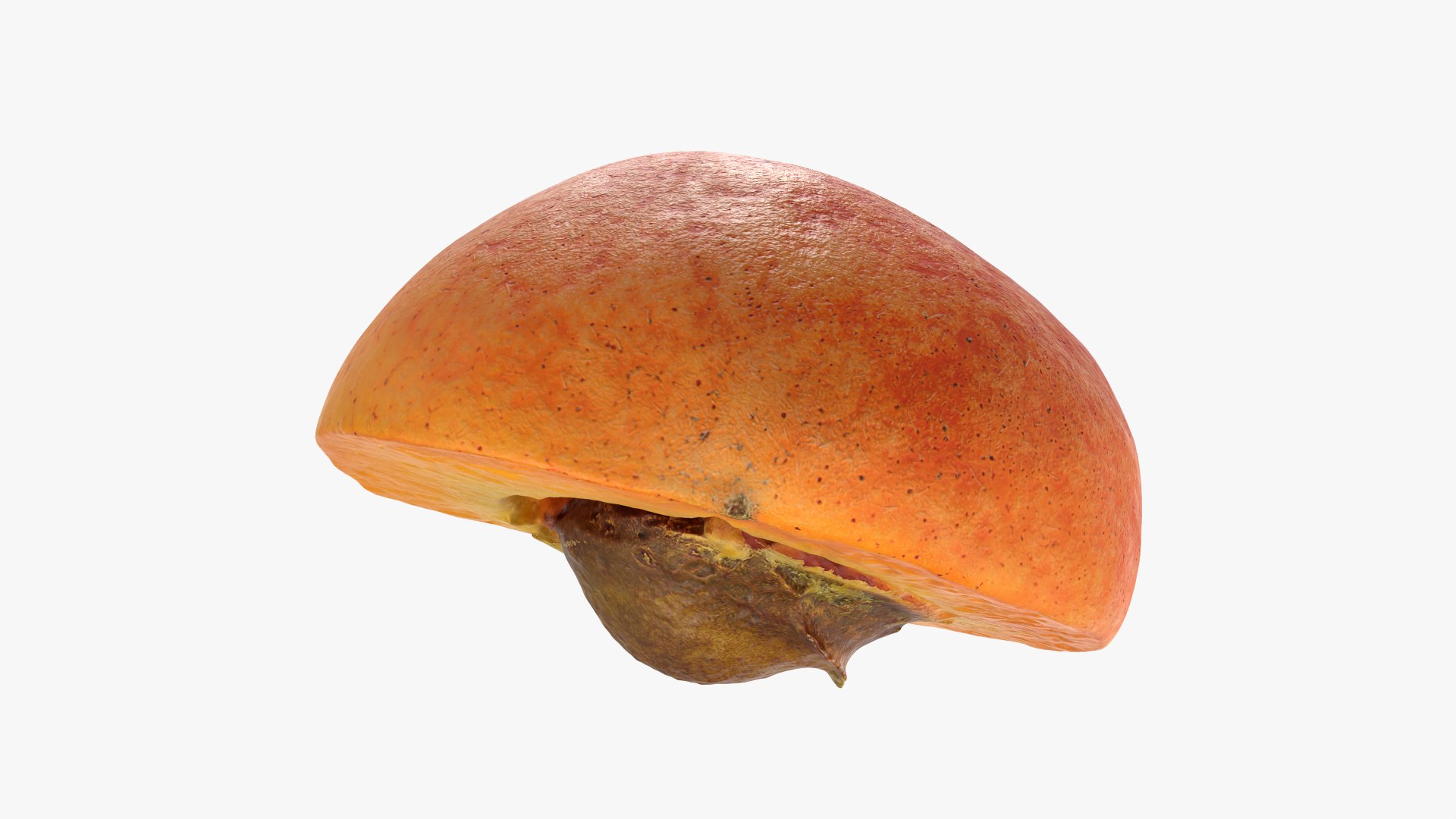 3D Half Apricot with Pit - 3D Scanned model https://p.turbosquid.com/ts-thumb/Wv/MupEw0/TT/apricotcut02_0008/png/1783943489/1920x1080/fit_q87/6751b81adf01e075b679558b43183449f4bd5581/apricotcut02_0008.jpg