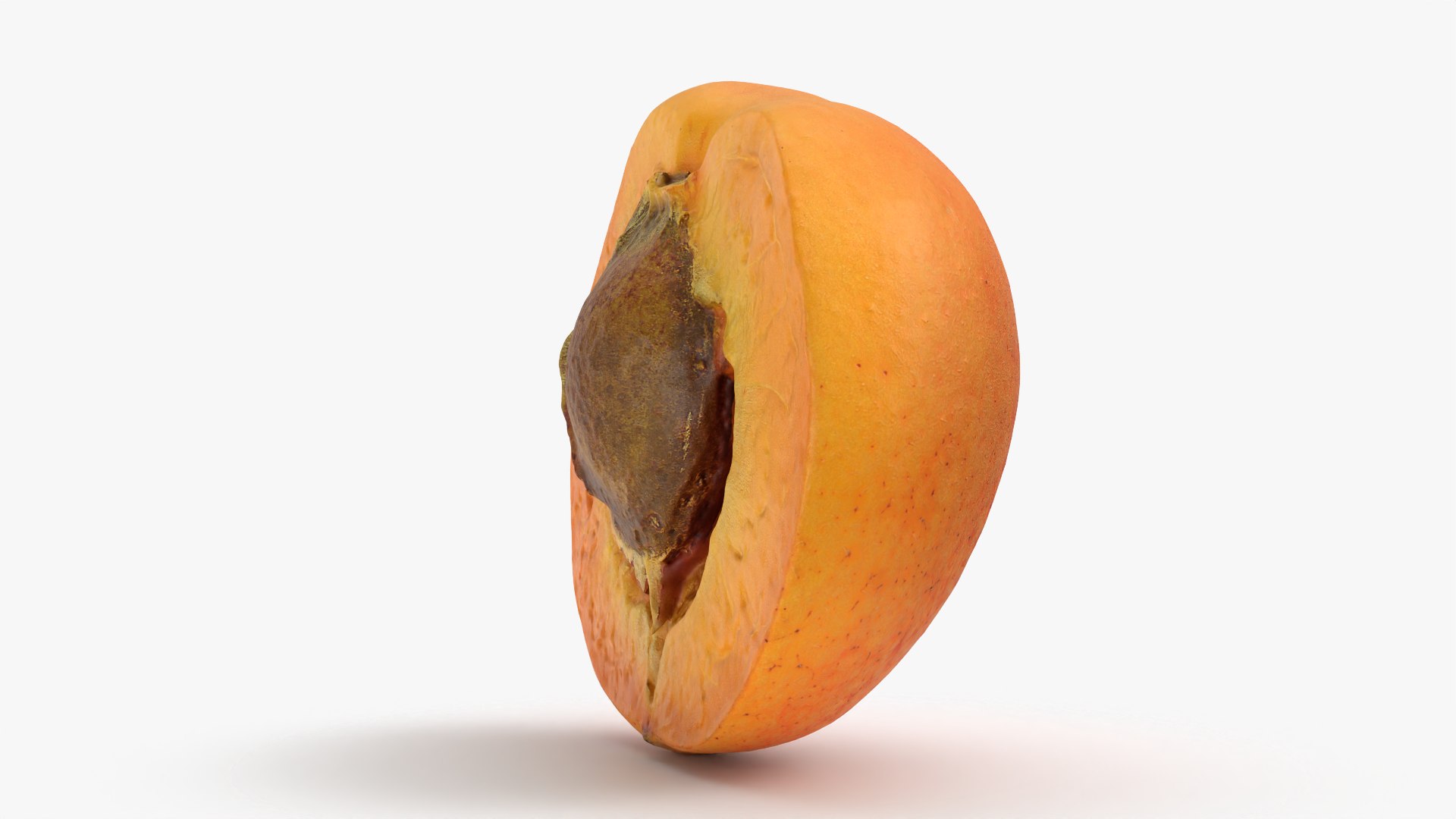 3D Half Apricot with Pit - 3D Scanned model https://p.turbosquid.com/ts-thumb/Wv/MupEw0/a7/apricotcut02_0005/png/1783943478/1920x1080/fit_q87/179ec4db4cdf6923db2f7c9adb4181b510d26aa9/apricotcut02_0005.jpg