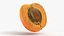 Half Apricot with Pit - 3D Scanned