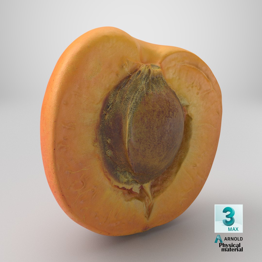 3D Half Apricot with Pit - 3D Scanned model https://p.turbosquid.com/ts-thumb/Wv/MupEw0/iW/stemcell_max_physical_render/png/1784734680/1920x1080/fit_q87/96031a11f32f9b77ee0f98dbd407aca9e689a2e8/stemcell_max_physical_render.jpg
